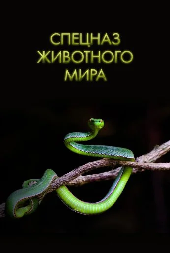 Спецназ животного мира (2018) онлайн бесплатно